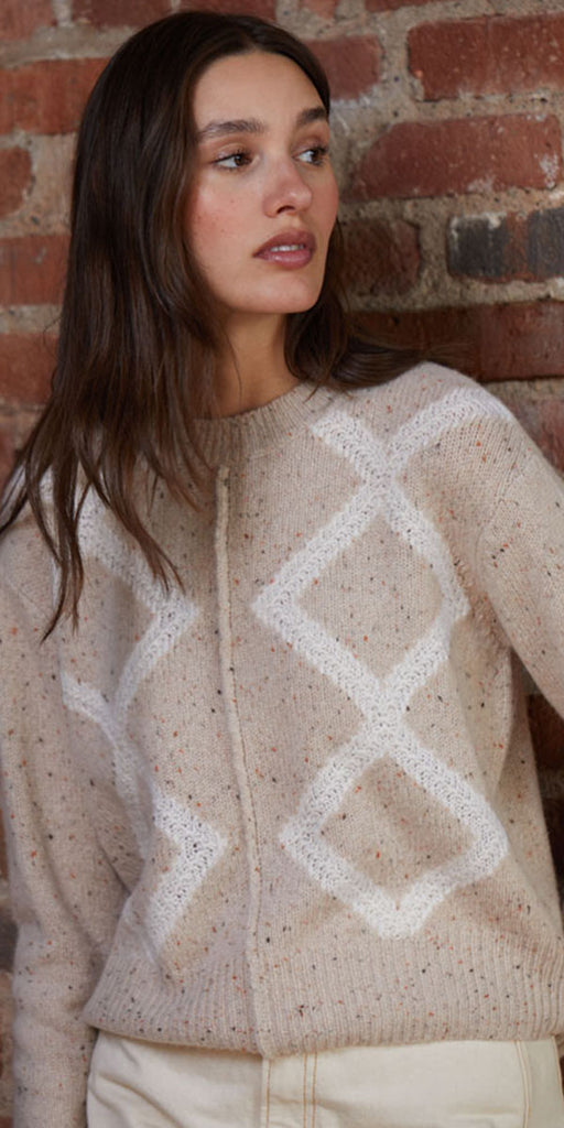 Autumn Cashmere Diamond Boxy Crew Sweater
