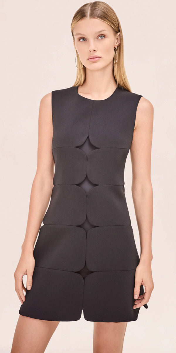 Alexis Winnie Dress