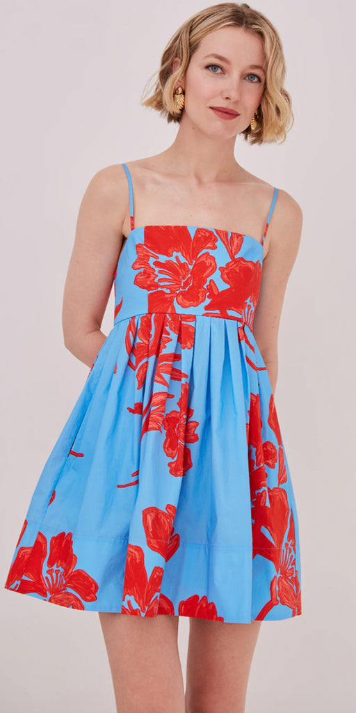 Cara Cara Leo Mini Dress