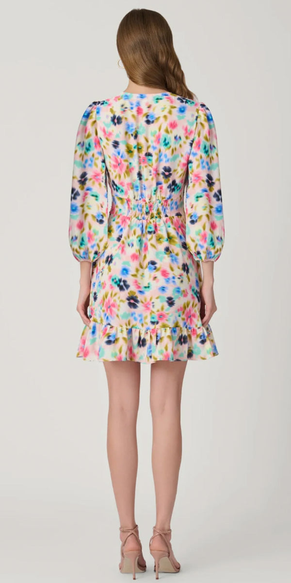 Shoshanna Weezie Dress
