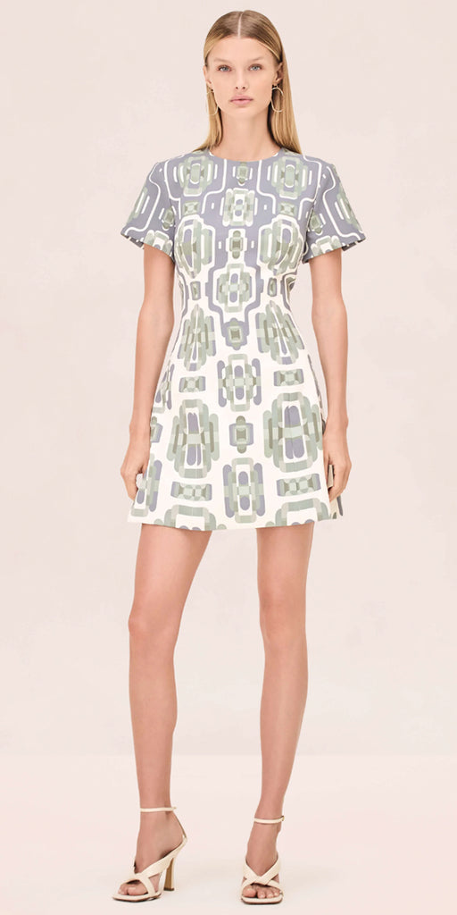 Alexis Silva Dress