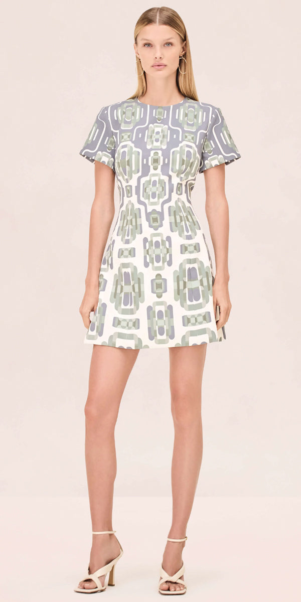 Alexis Silva Dress