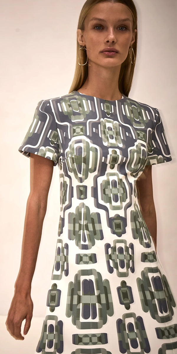 Alexis Silva Dress