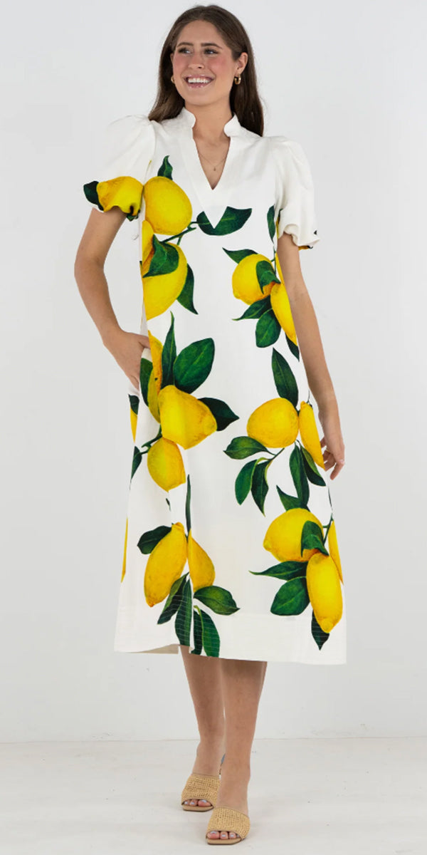 Emily McCarthy Hampton Dress