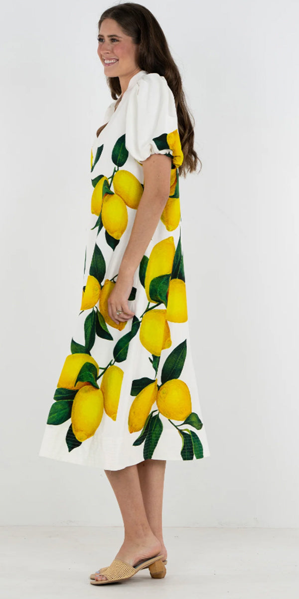 Emily McCarthy Hampton Dress