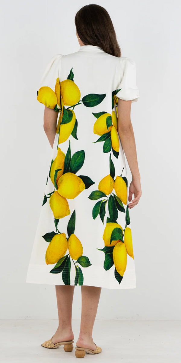Emily McCarthy Hampton Dress