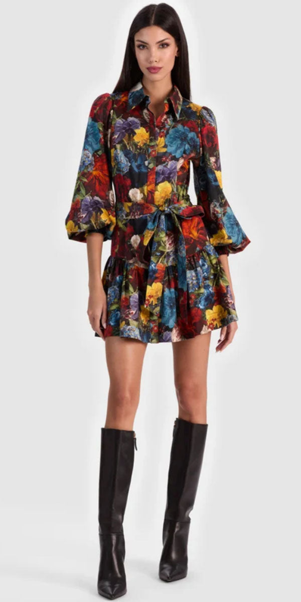 Alice + Olivia Lily Shirtdress