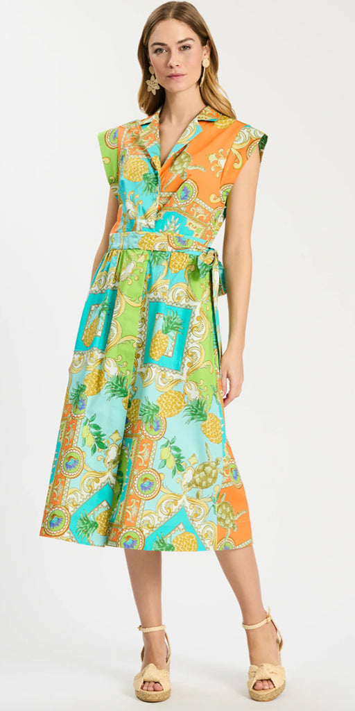 Tyler Boe Paige Positano Shirtdress
