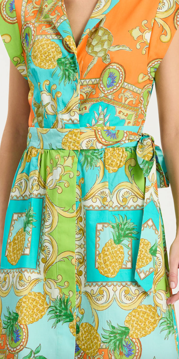 Tyler Boe Paige Positano Shirtdress