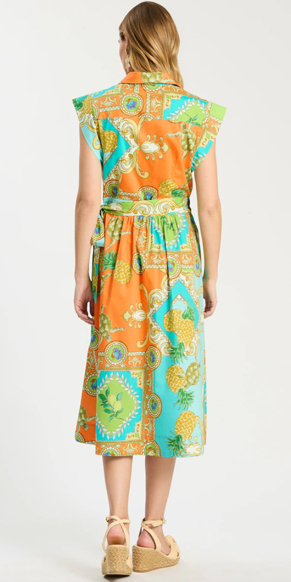 Tyler Boe Paige Positano Shirtdress