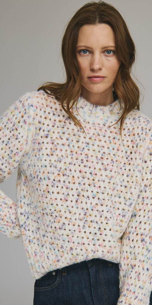 Autumn Cashmere Confetti Crew